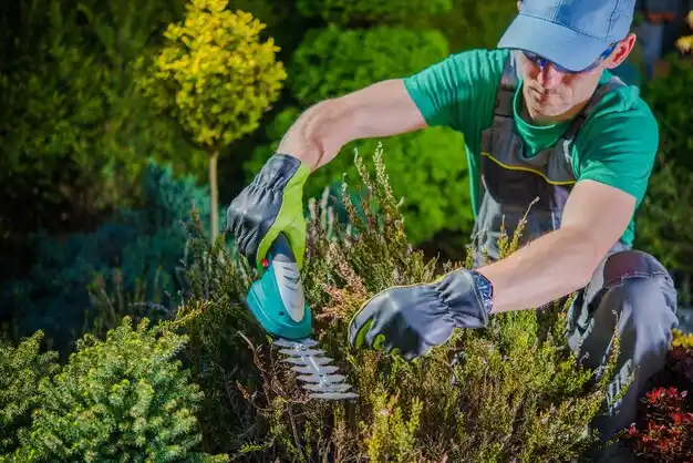 landscaping services Ann Arbor